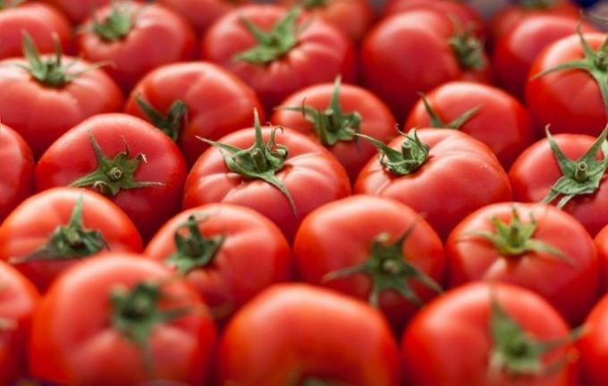 Cà chua chỉnh sửa gen được kinh doanh ở Nhật với giá 500.000 đồng/kg