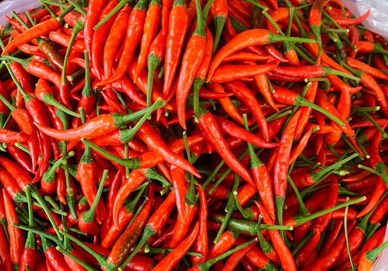 Trung Quốc cho phép nhập khẩu trở lại đối với ớt tươi Việt Nam 