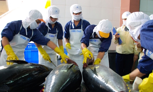 Việt Nam vượt qua Thái Lan trở thành nguồn cung cá ngừ lớn nhất cho Israel